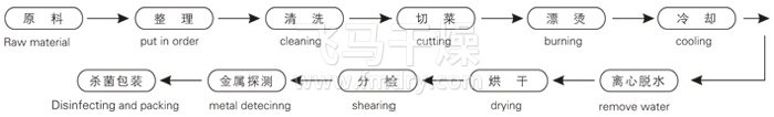 脫水蔬菜帶式（shì）幹燥工藝流程